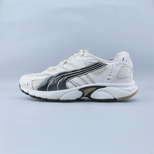 Puma Hahmer